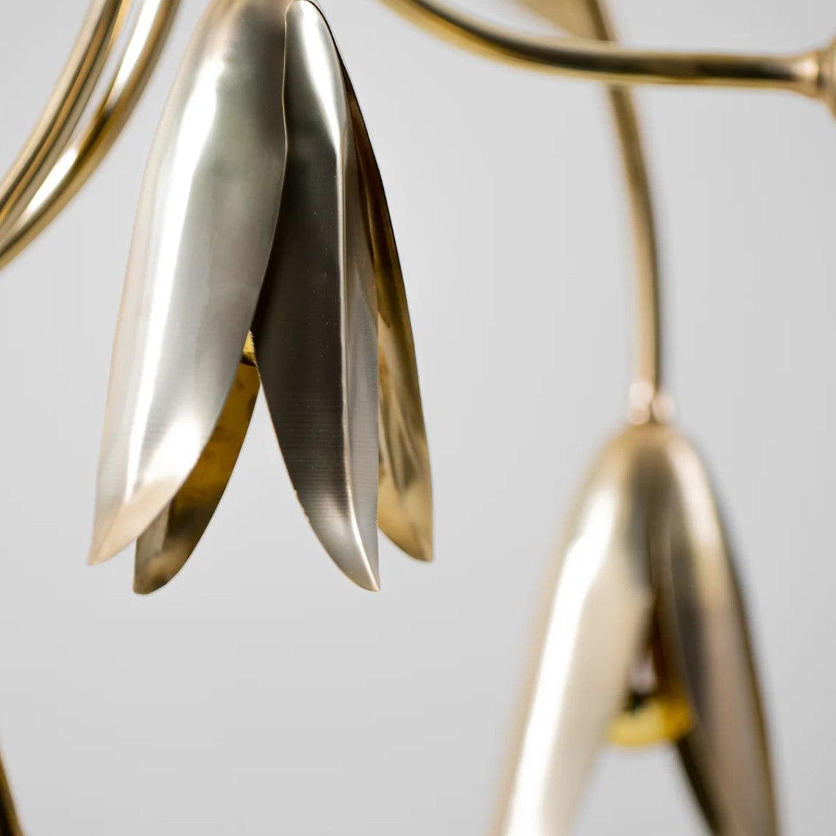 Porta Romana | Morales Chandelier