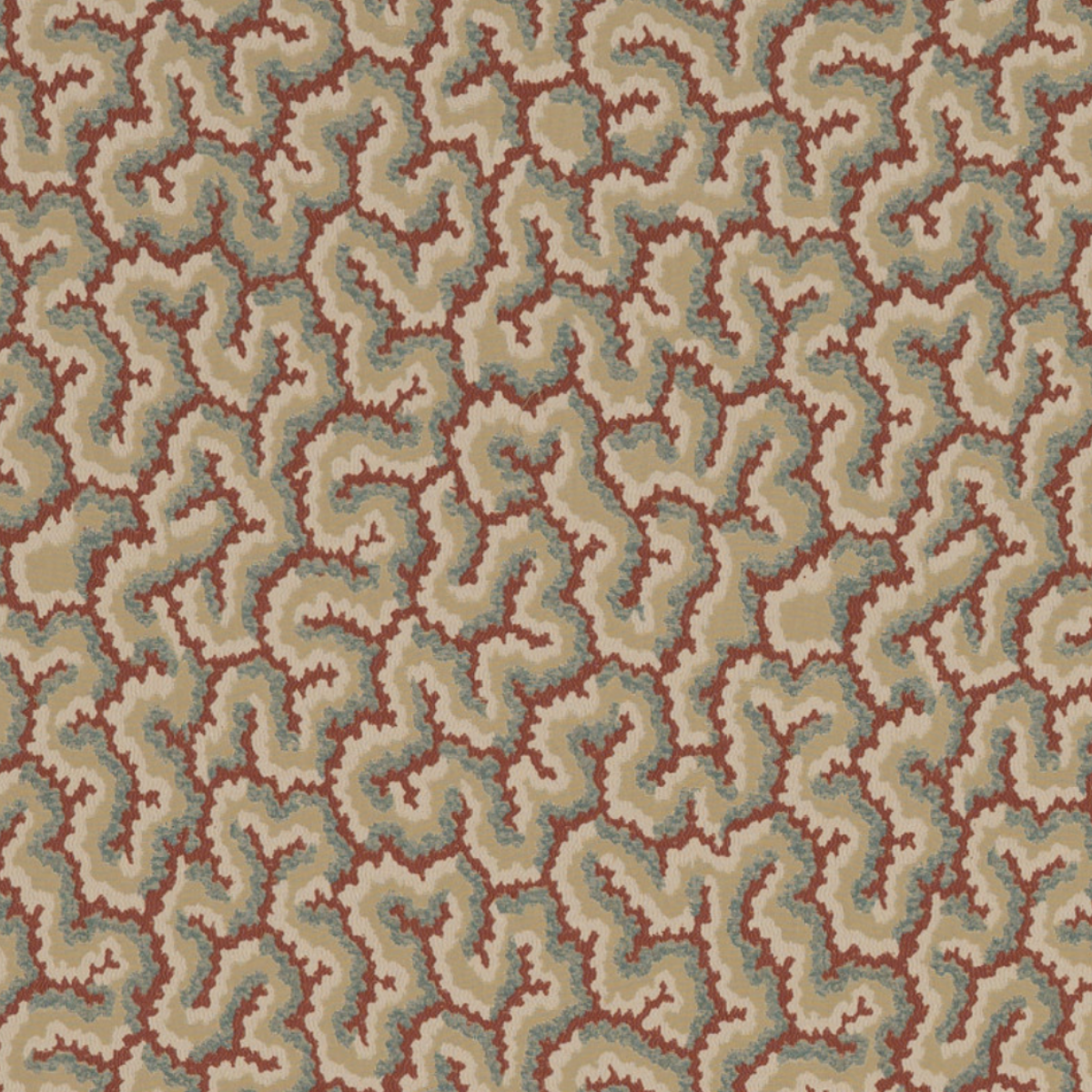 Nobilis | Lophelia