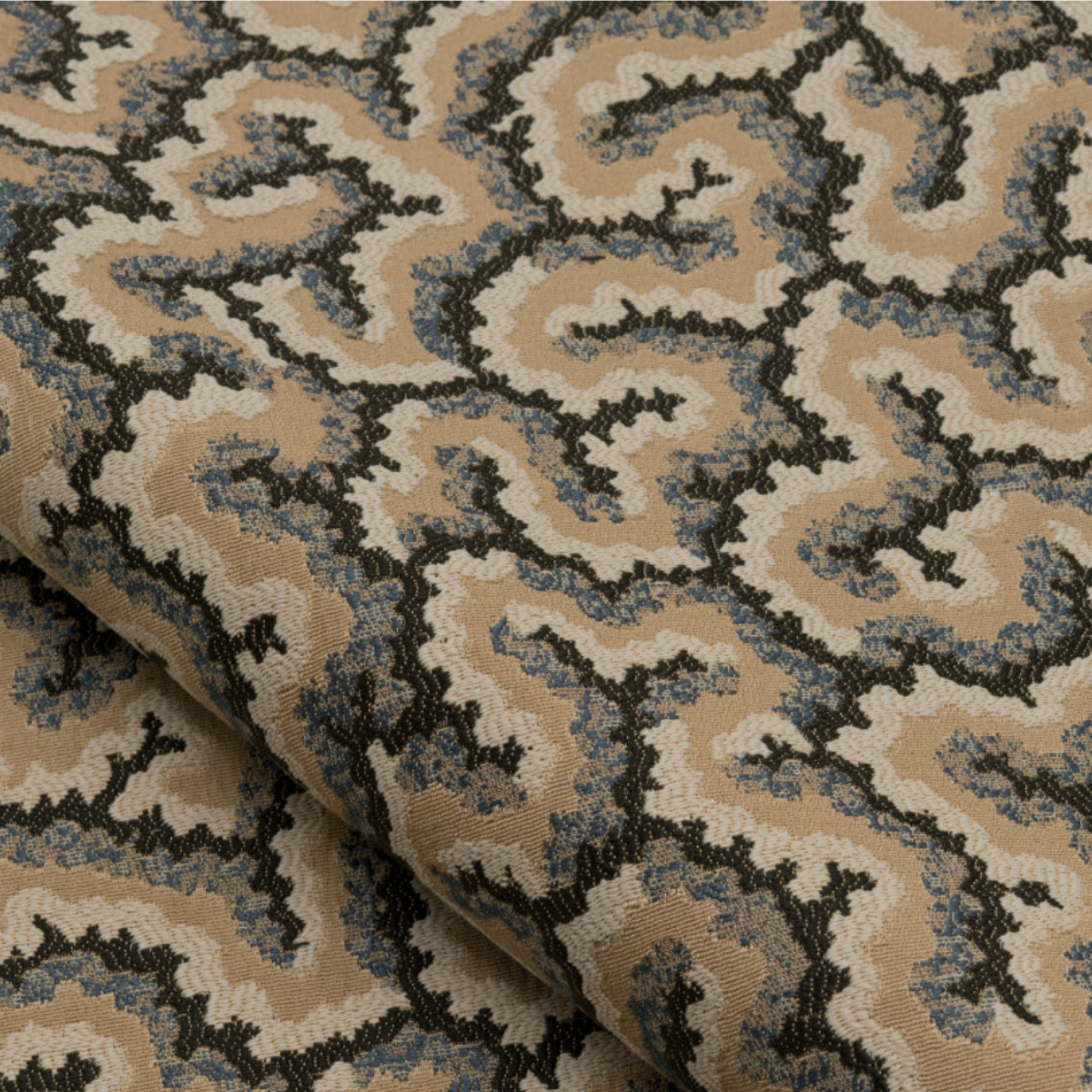 Nobilis | Lophelia