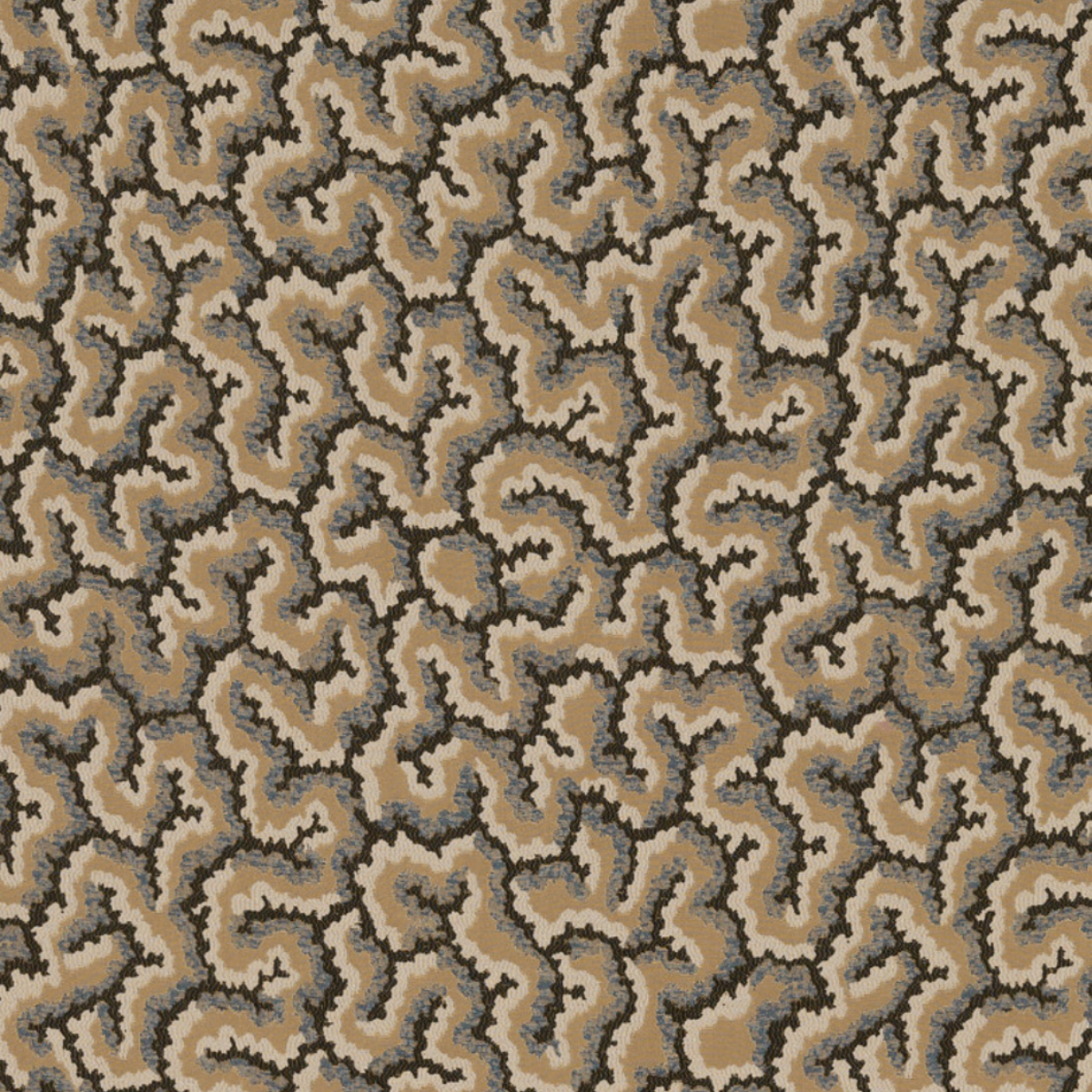 Nobilis | Lophelia