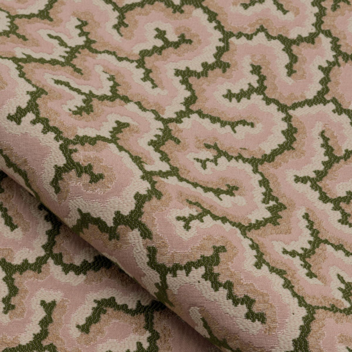 Nobilis | Lophelia