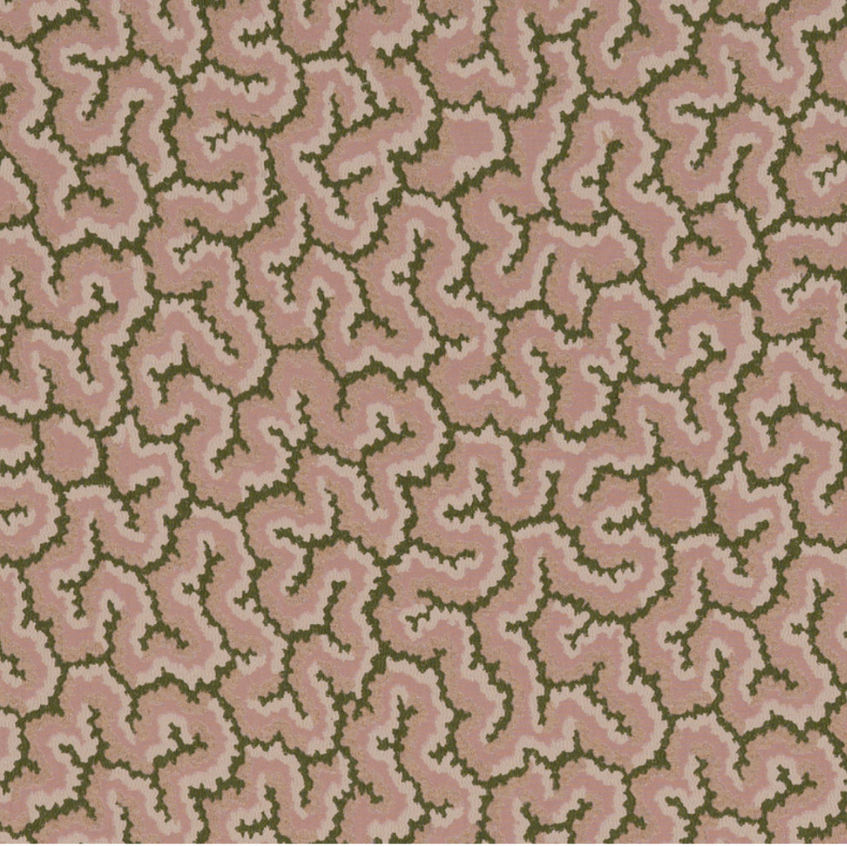 Nobilis | Lophelia