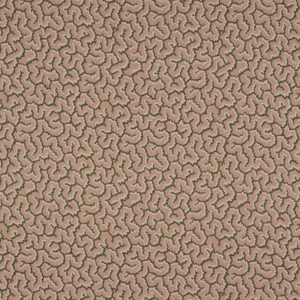 Nobilis | Lophelia