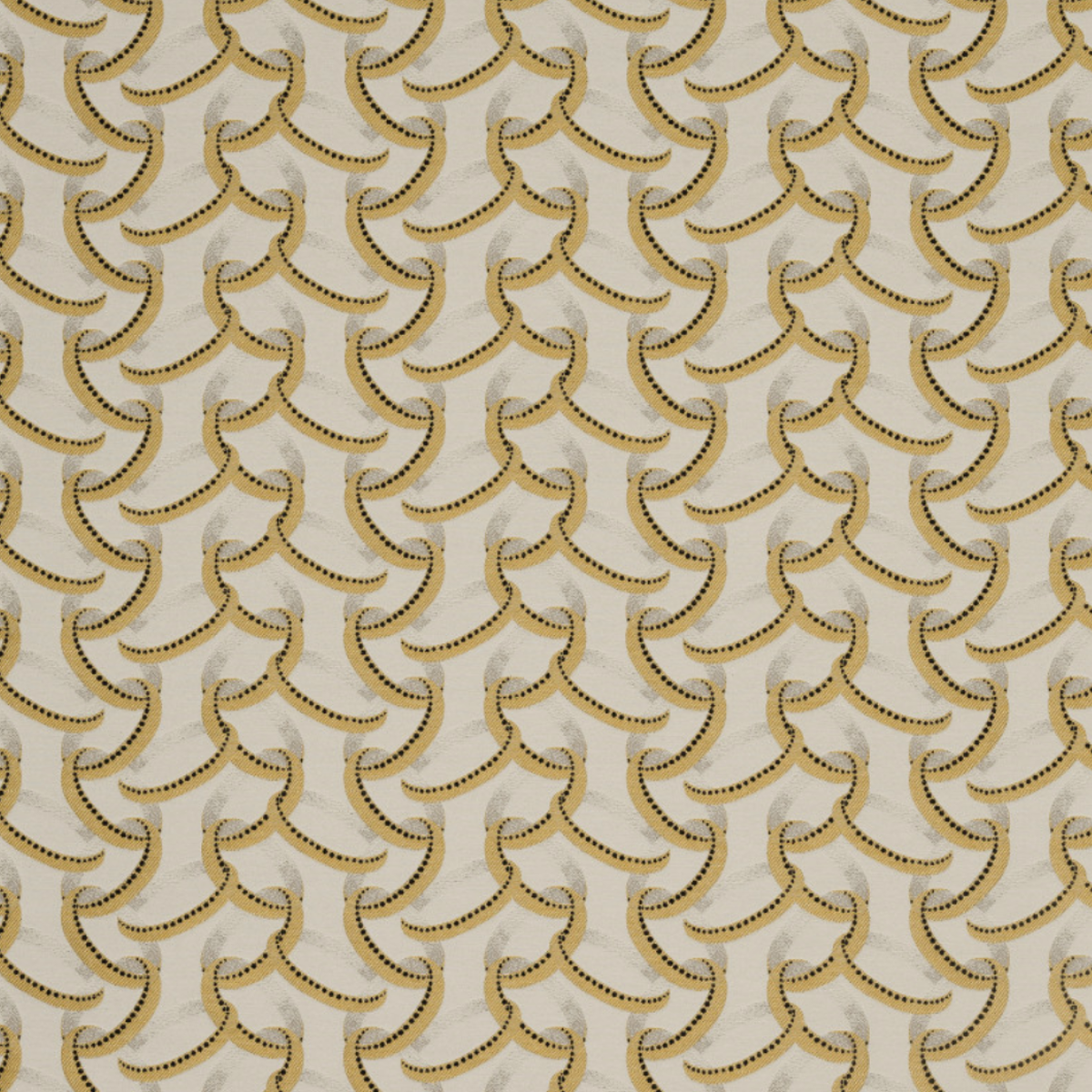 Nobilis | Paloma