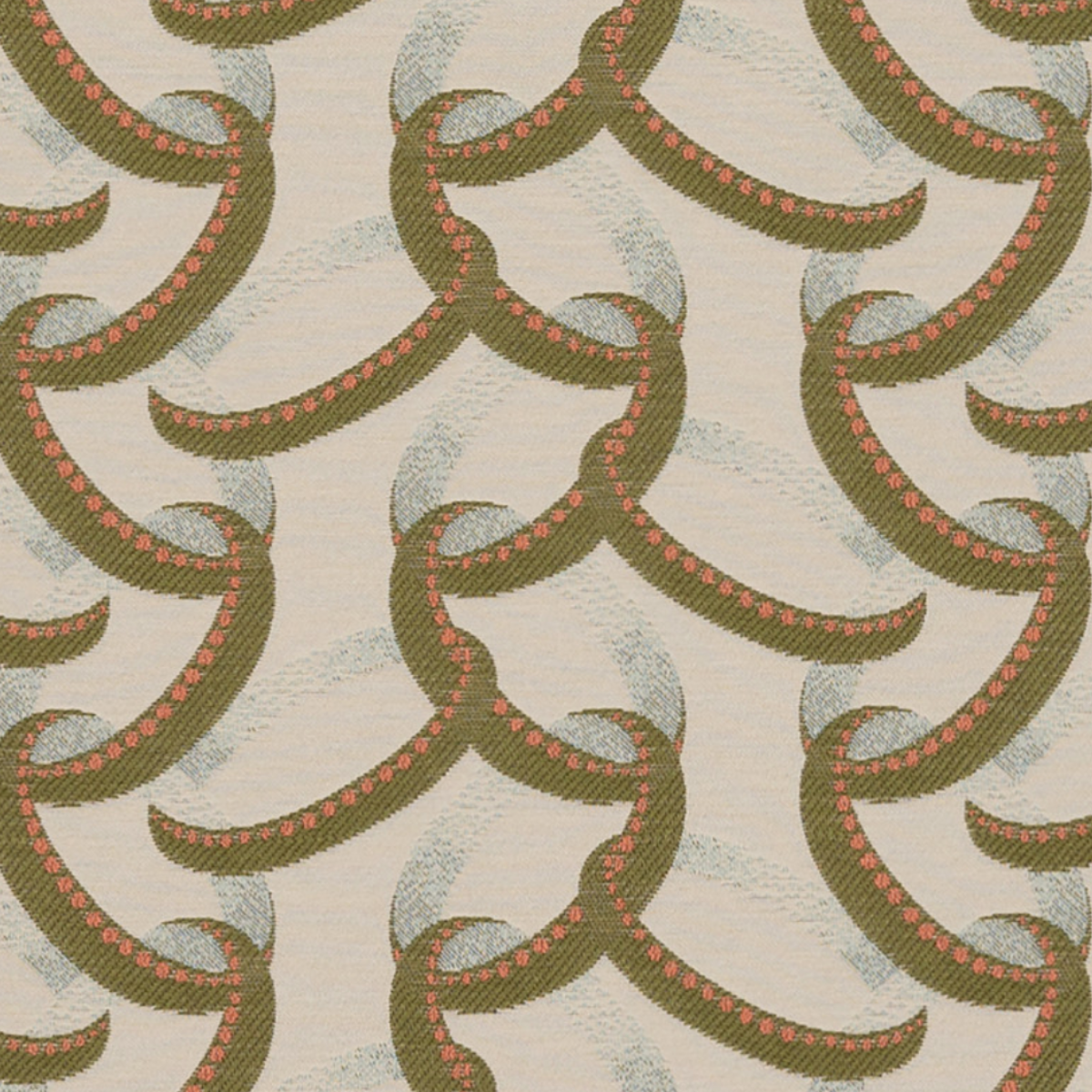 Nobilis | Paloma