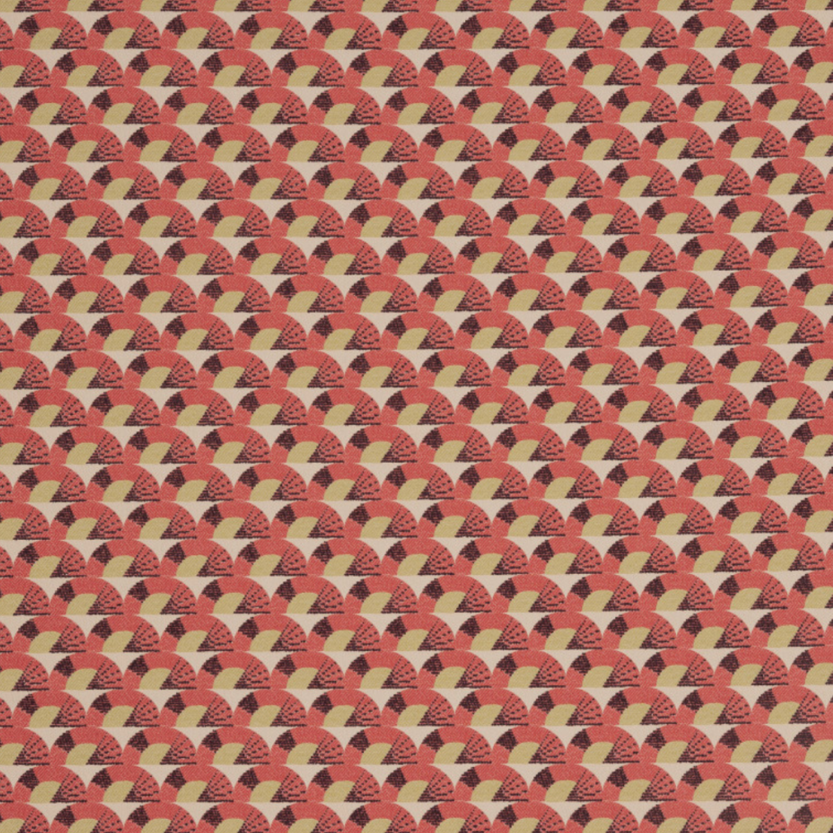 Nobilis | Cap