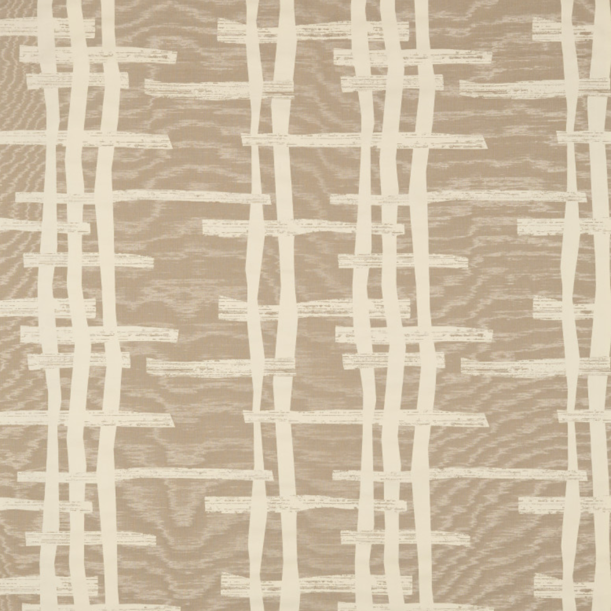 Nobilis | Cassandre