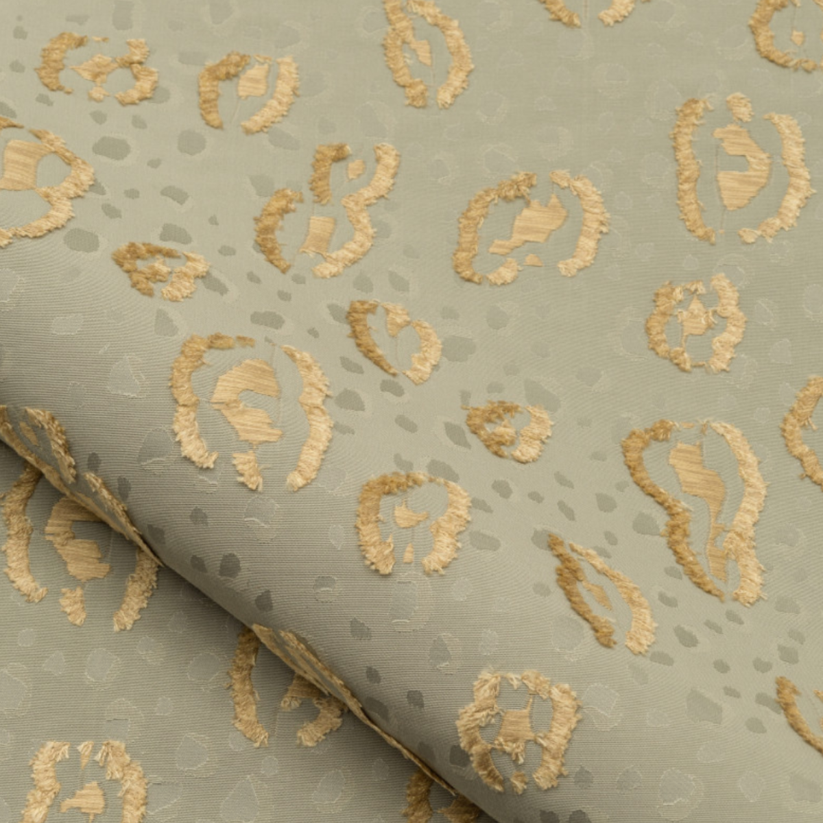 Nobilis | Leopard