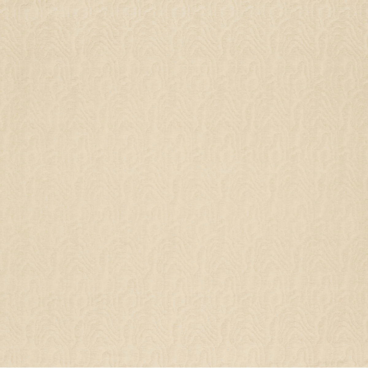 Nobilis | Legno