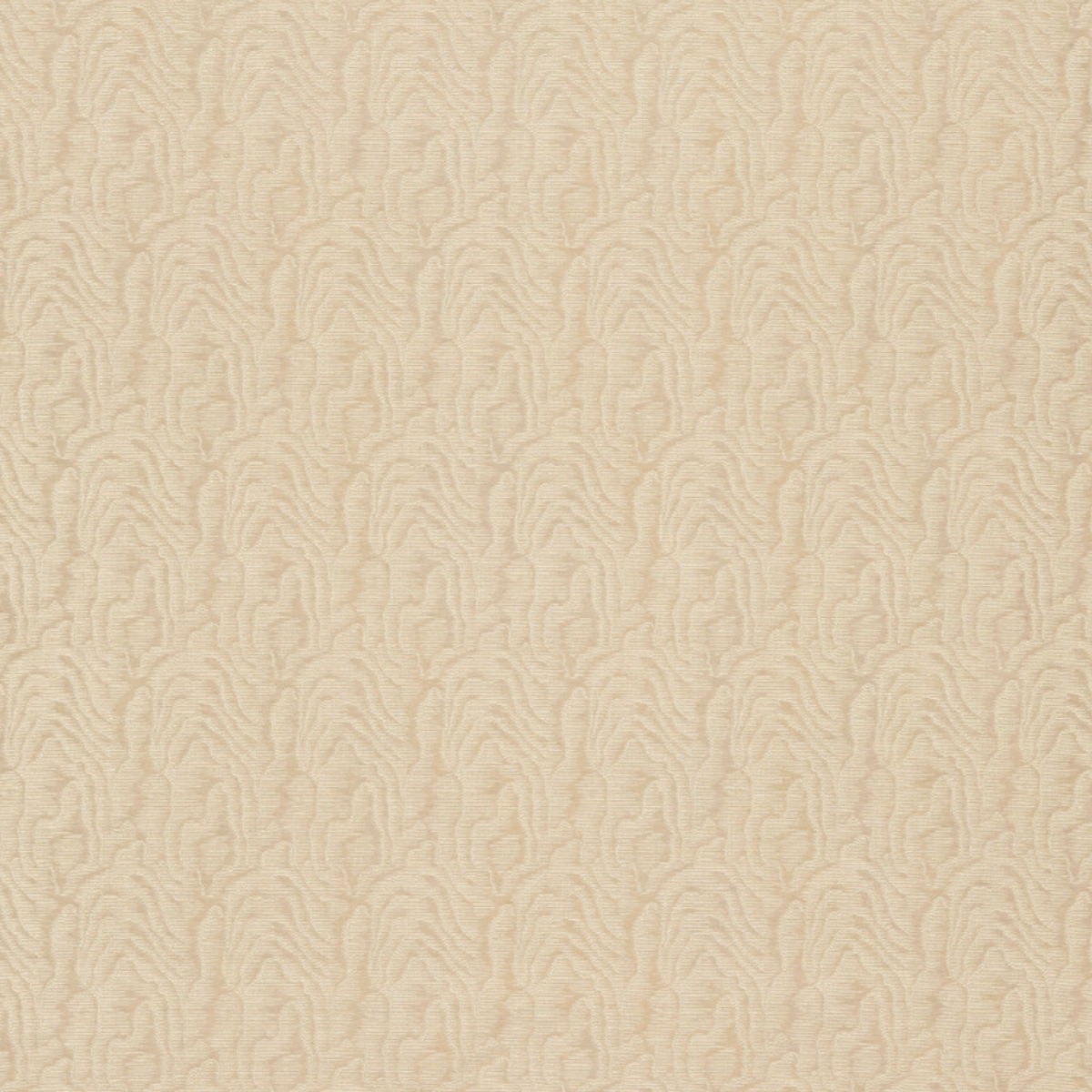Nobilis | Legno