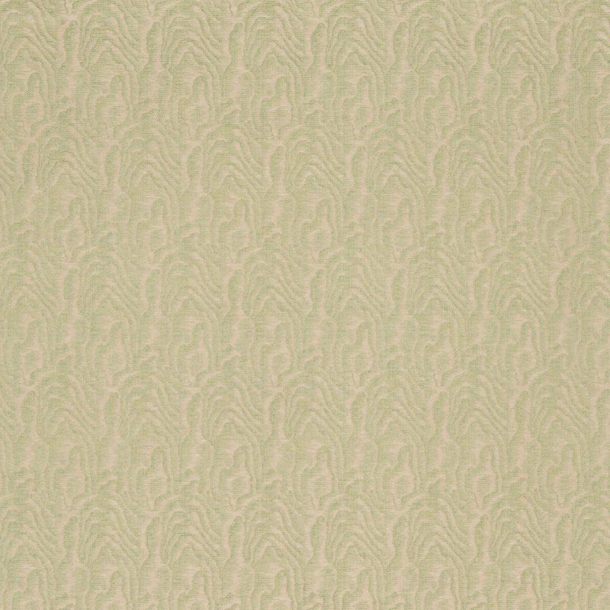 Nobilis | Legno