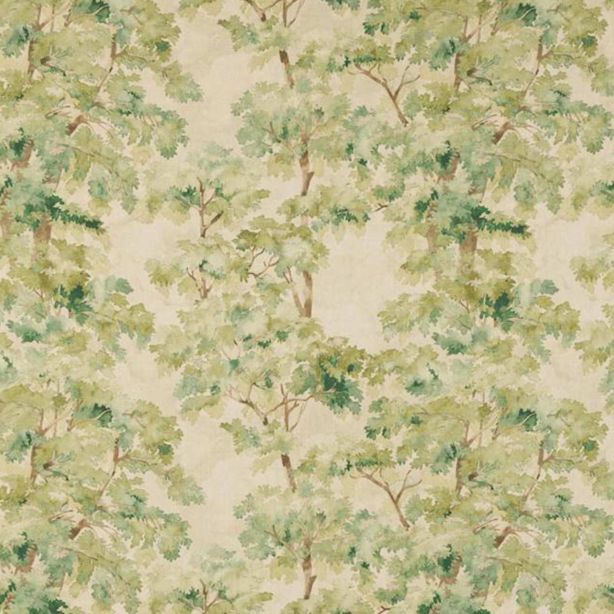 Colefax and Fowler | Arbour