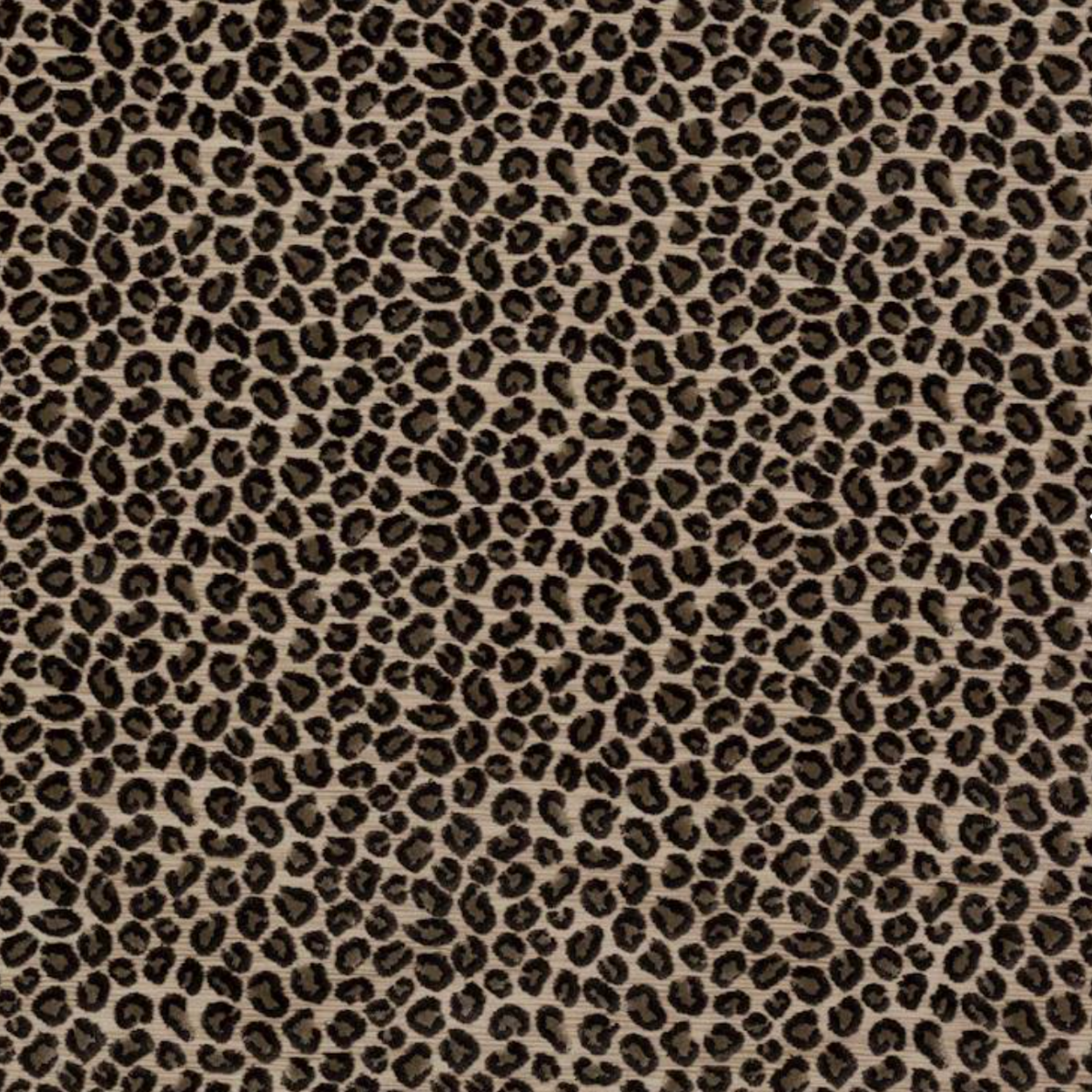 Colefax and Fowler | Wilde