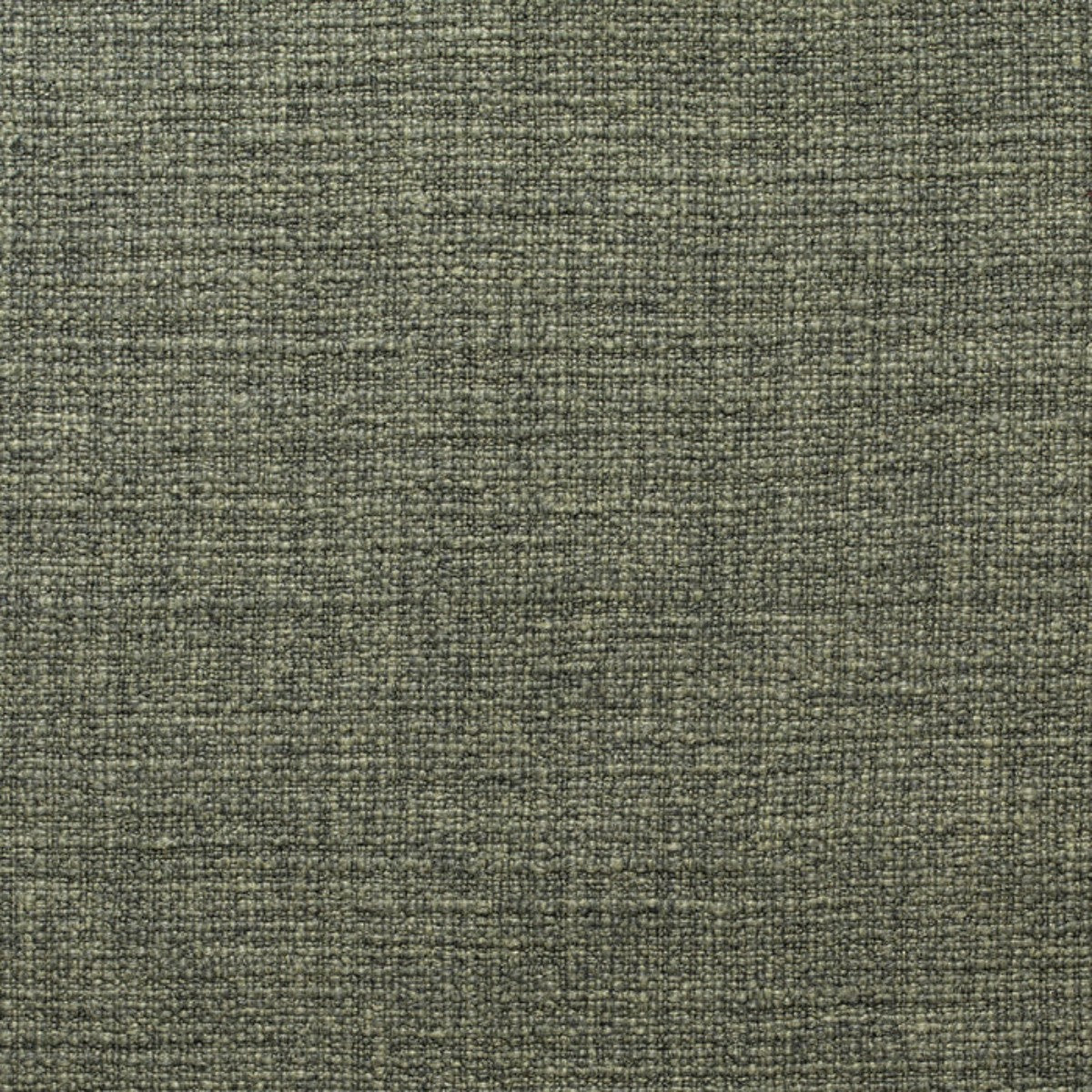 de Le Cuona | Warrior Cloth