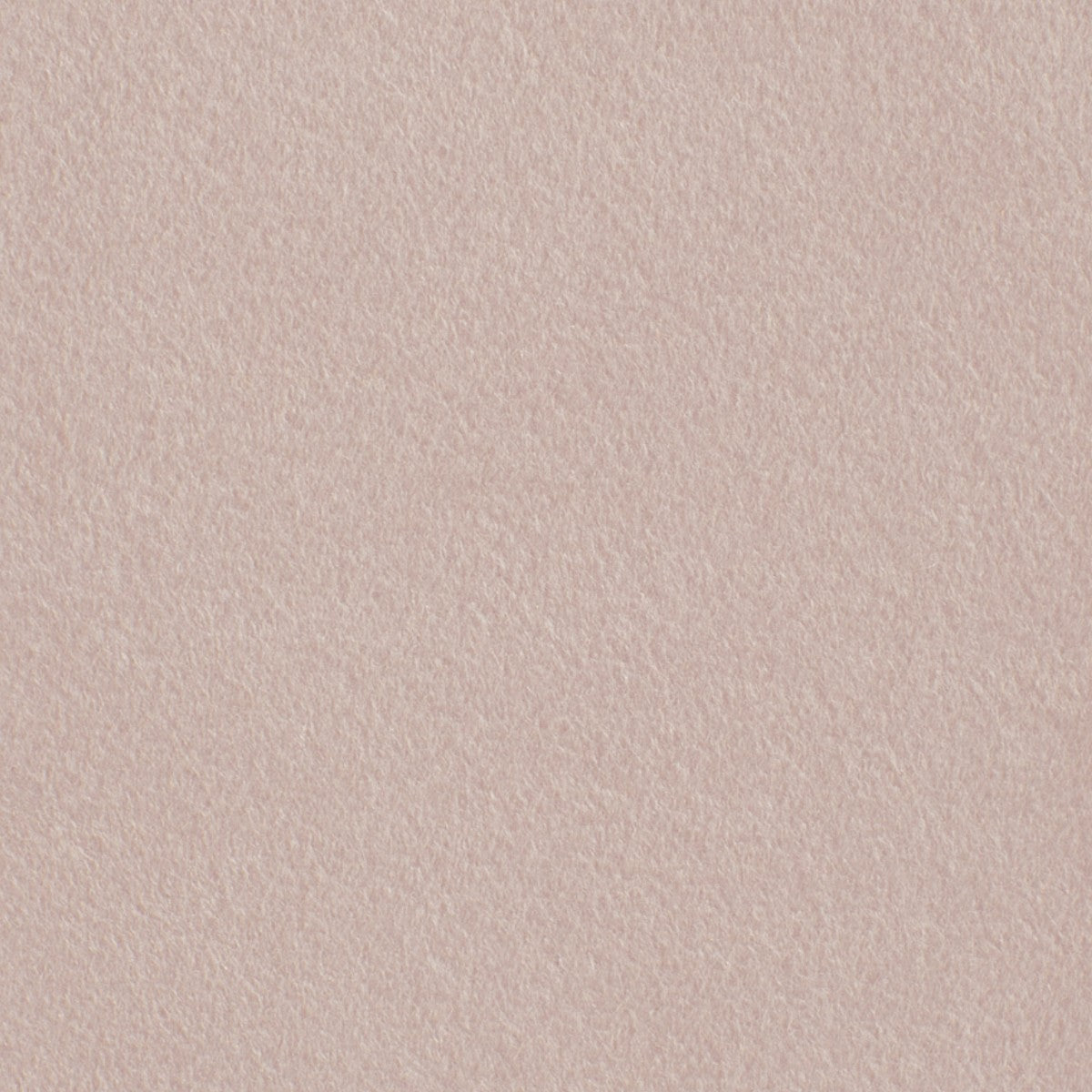 DEDAR | Adorabile Alpaca