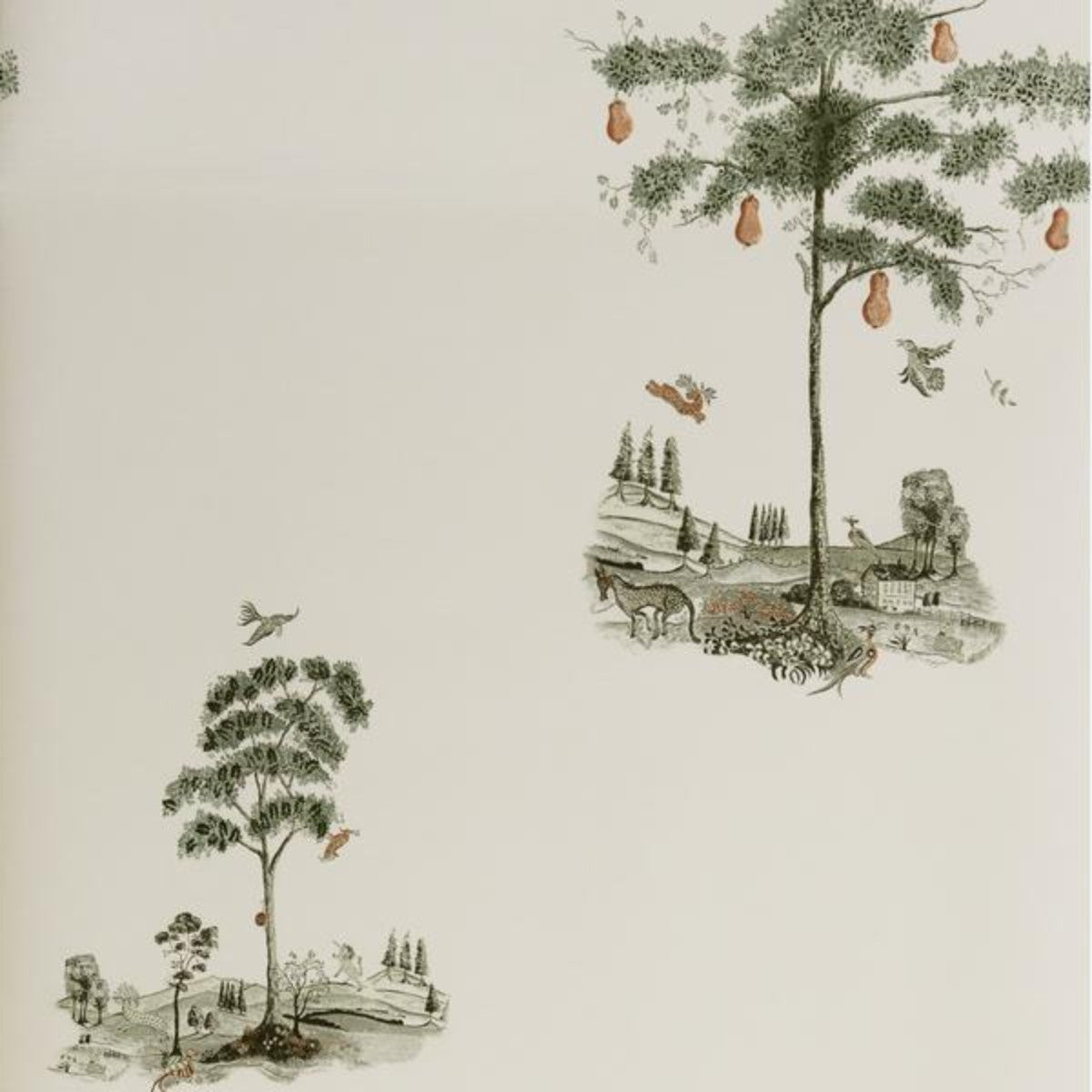 Andrew Martin | Pear Tree