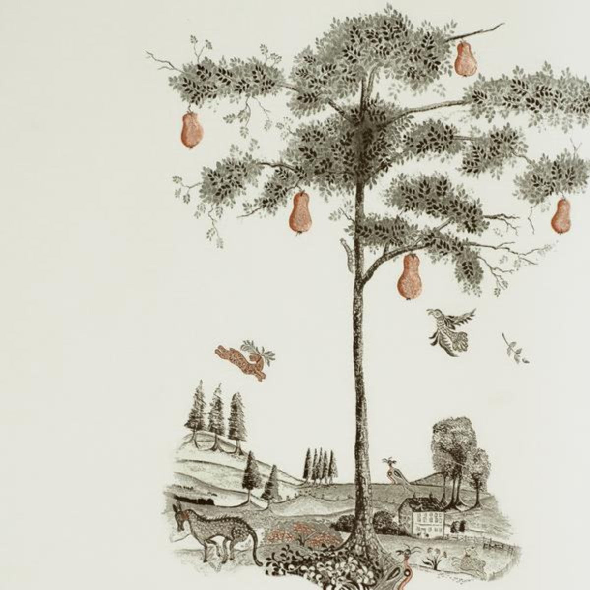 Andrew Martin | Pear Tree