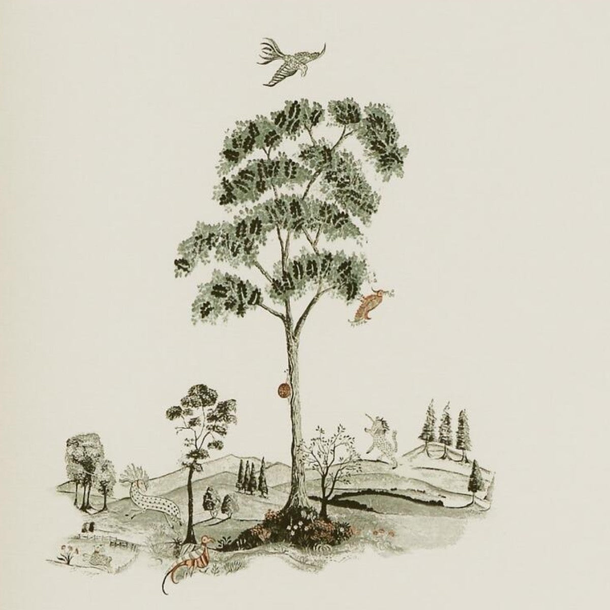 Andrew Martin | Pear Tree
