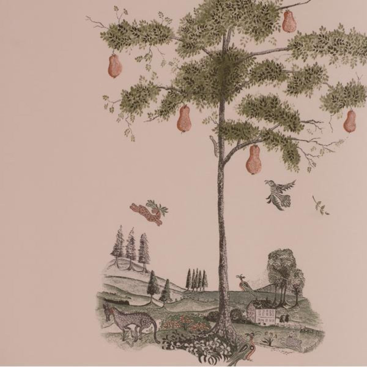 Andrew Martin | Pear Tree