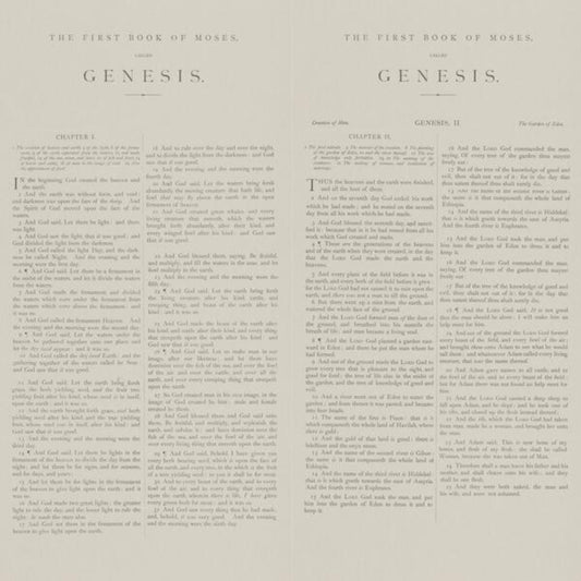 Andrew Martin | Genesis