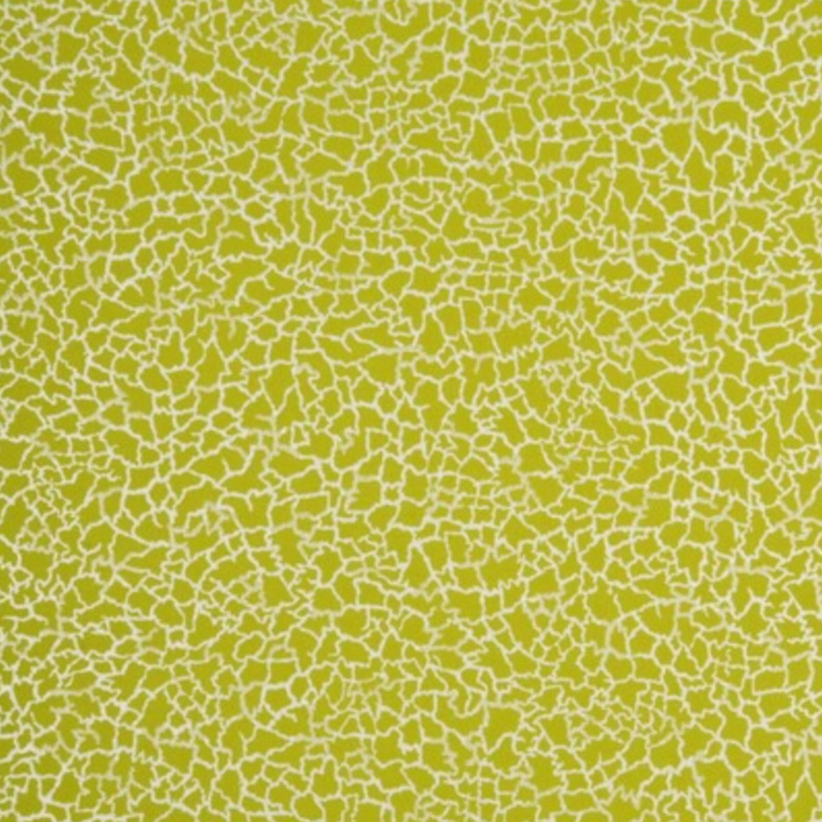 Baker Lifestyle | Ming