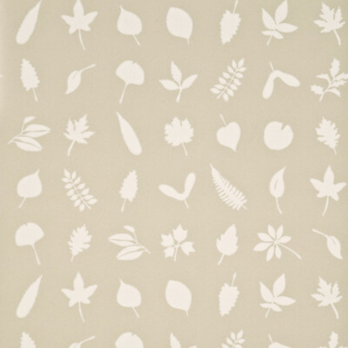 Baker Lifestyle | Tumbling Leaves