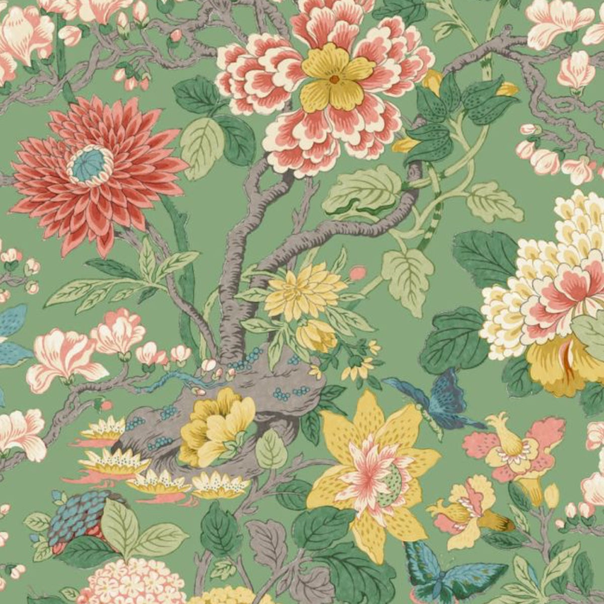 GP & J Baker | Little Magnolia