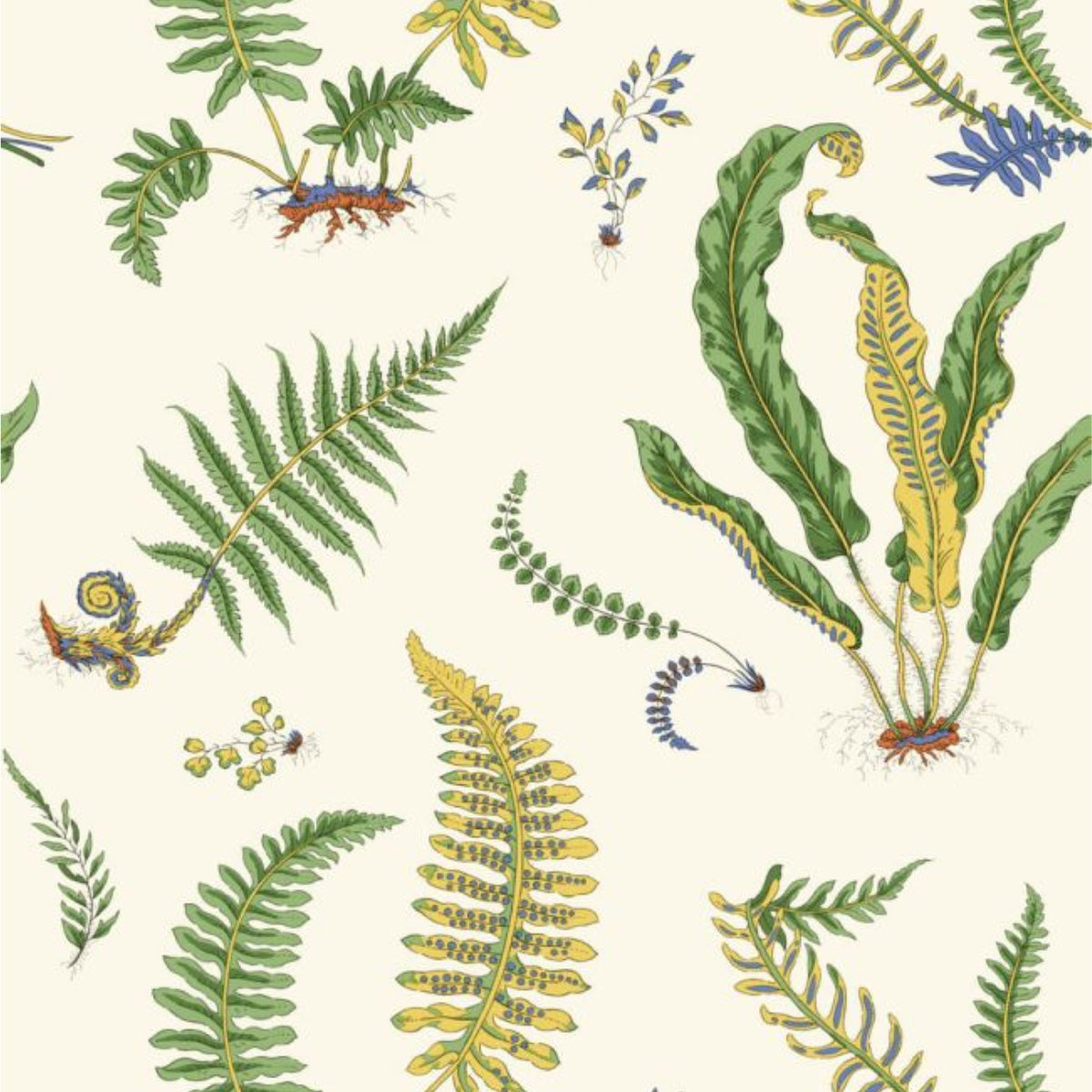 GP & J Baker | Ferns