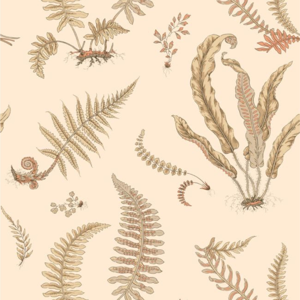 GP & J Baker | Ferns