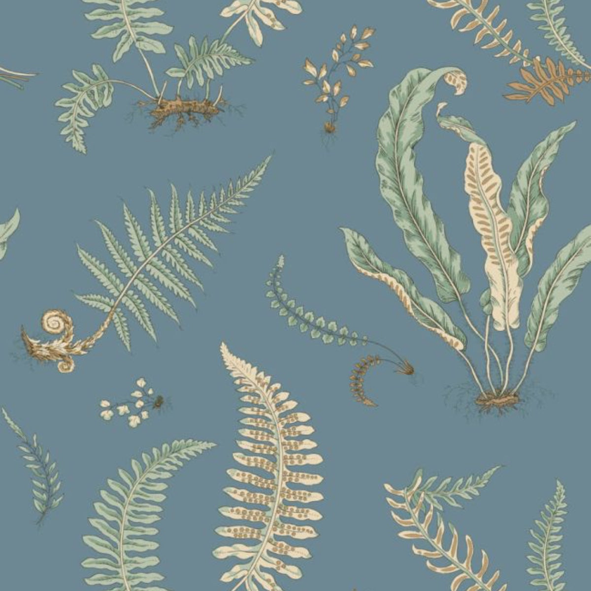 GP & J Baker | Ferns