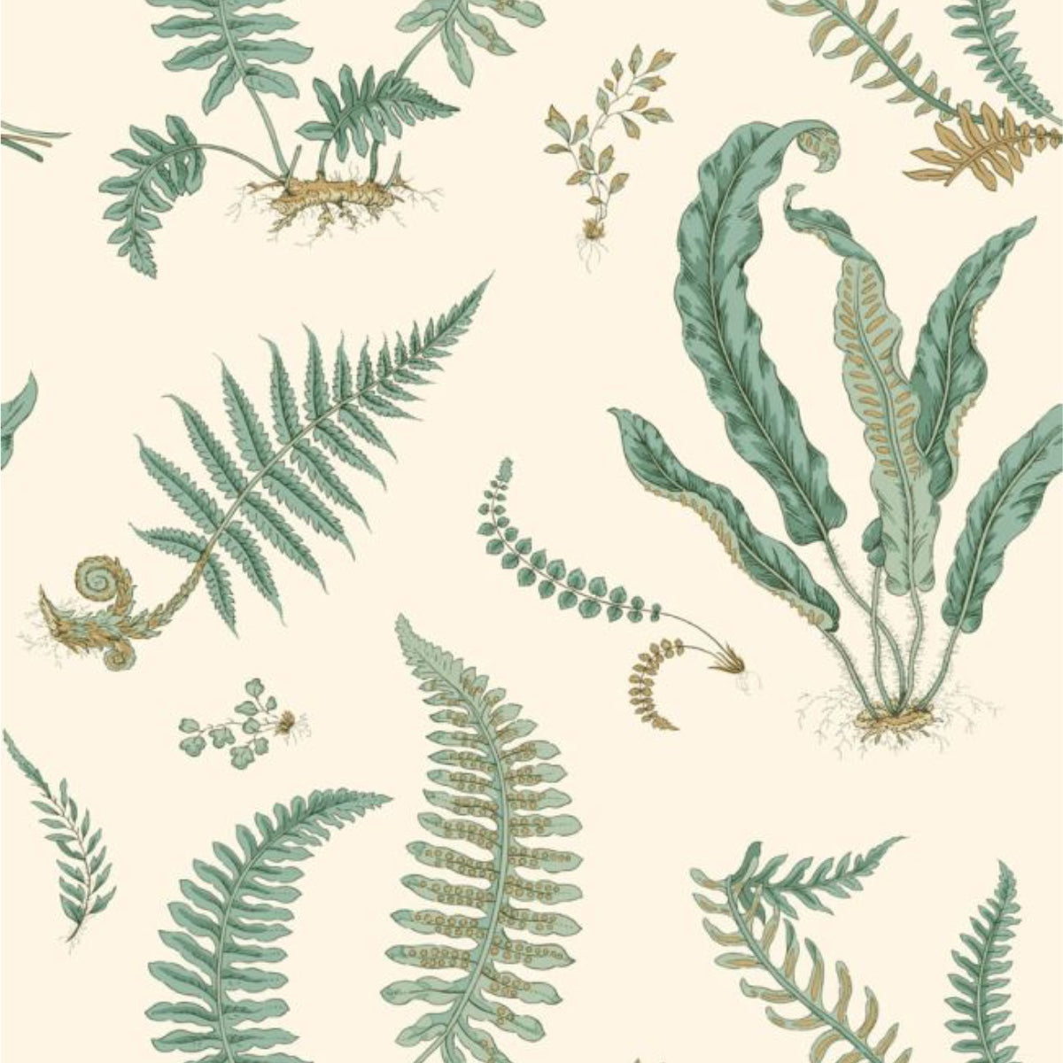 GP & J Baker | Ferns