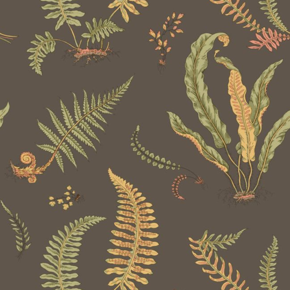 GP & J Baker | Ferns