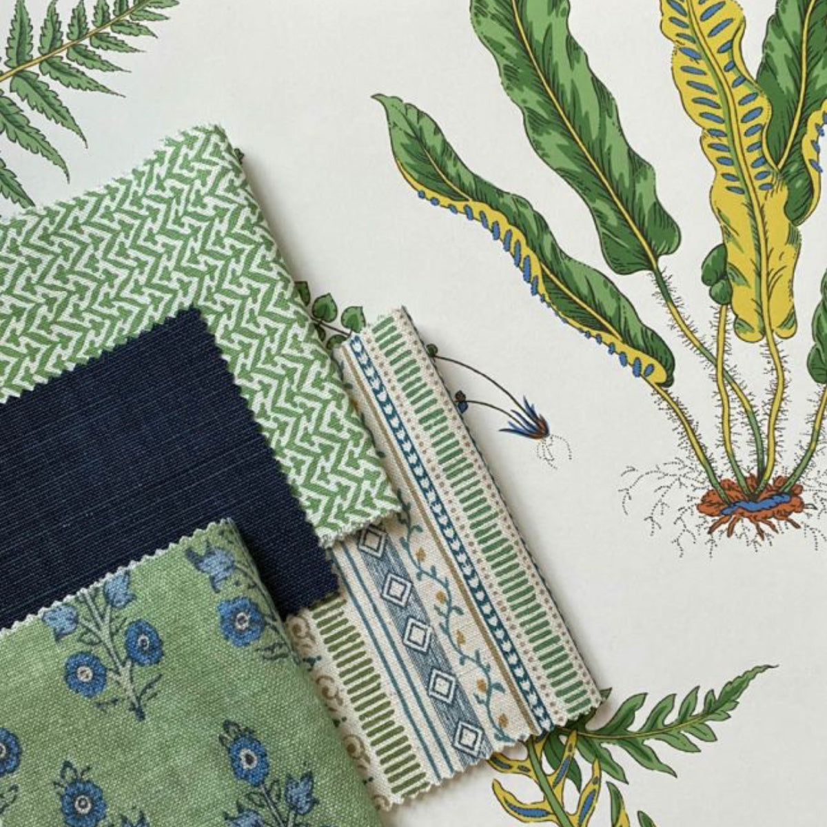 GP & J Baker | Ferns
