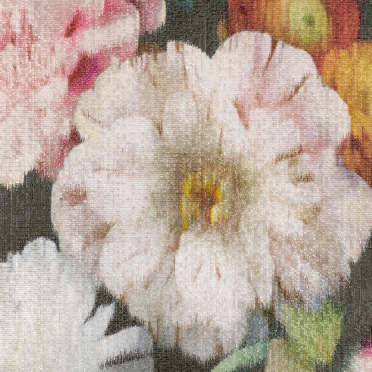 Black Edition | Herbaria