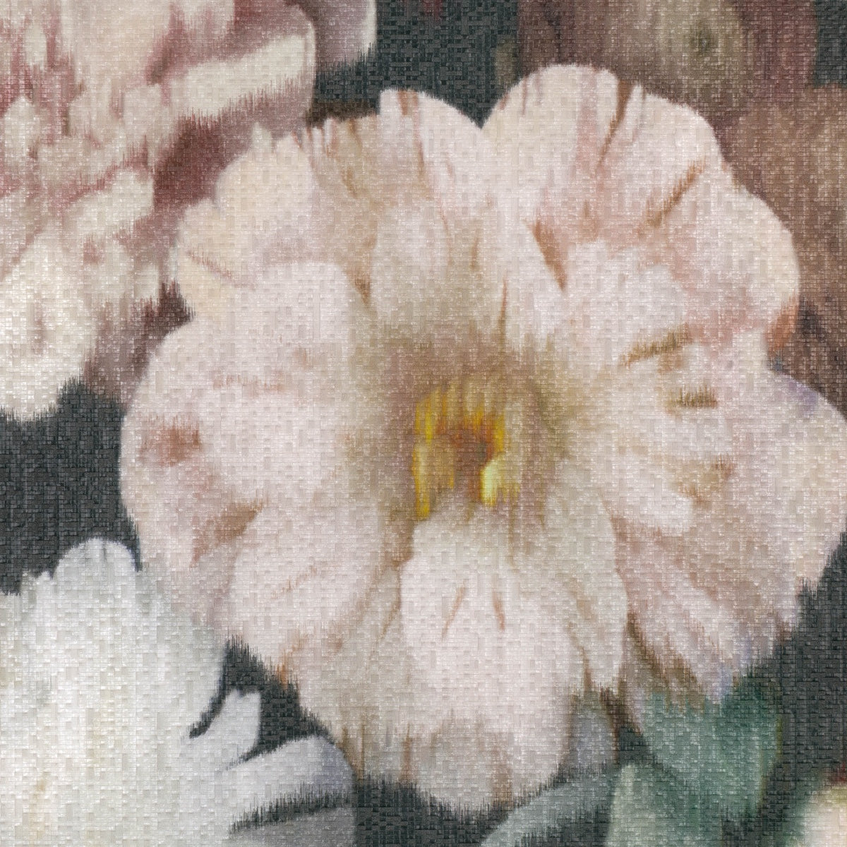 Black Edition | Herbaria