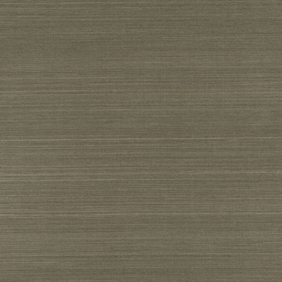 Mark Alexander | Abaca