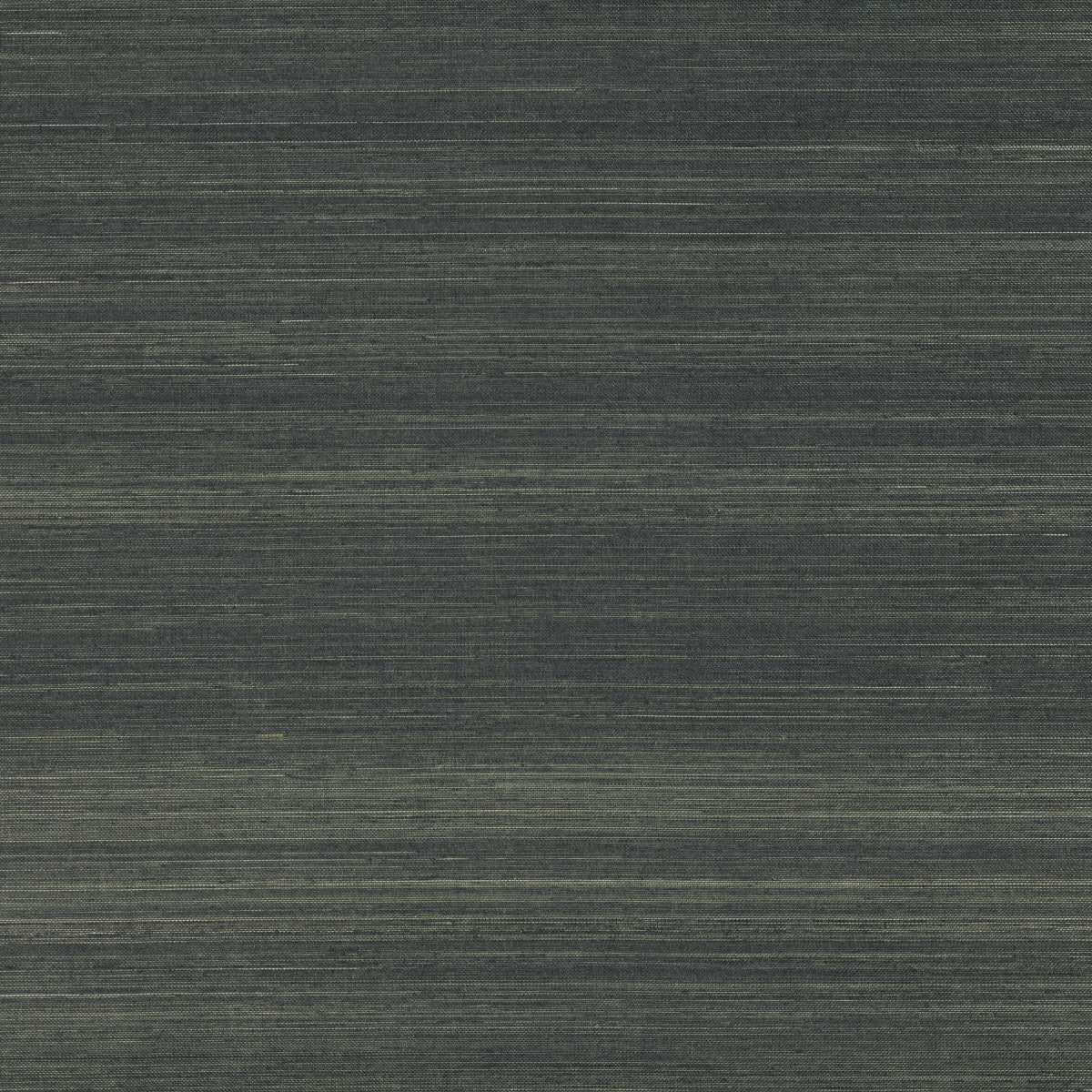 Mark Alexander | Abaca