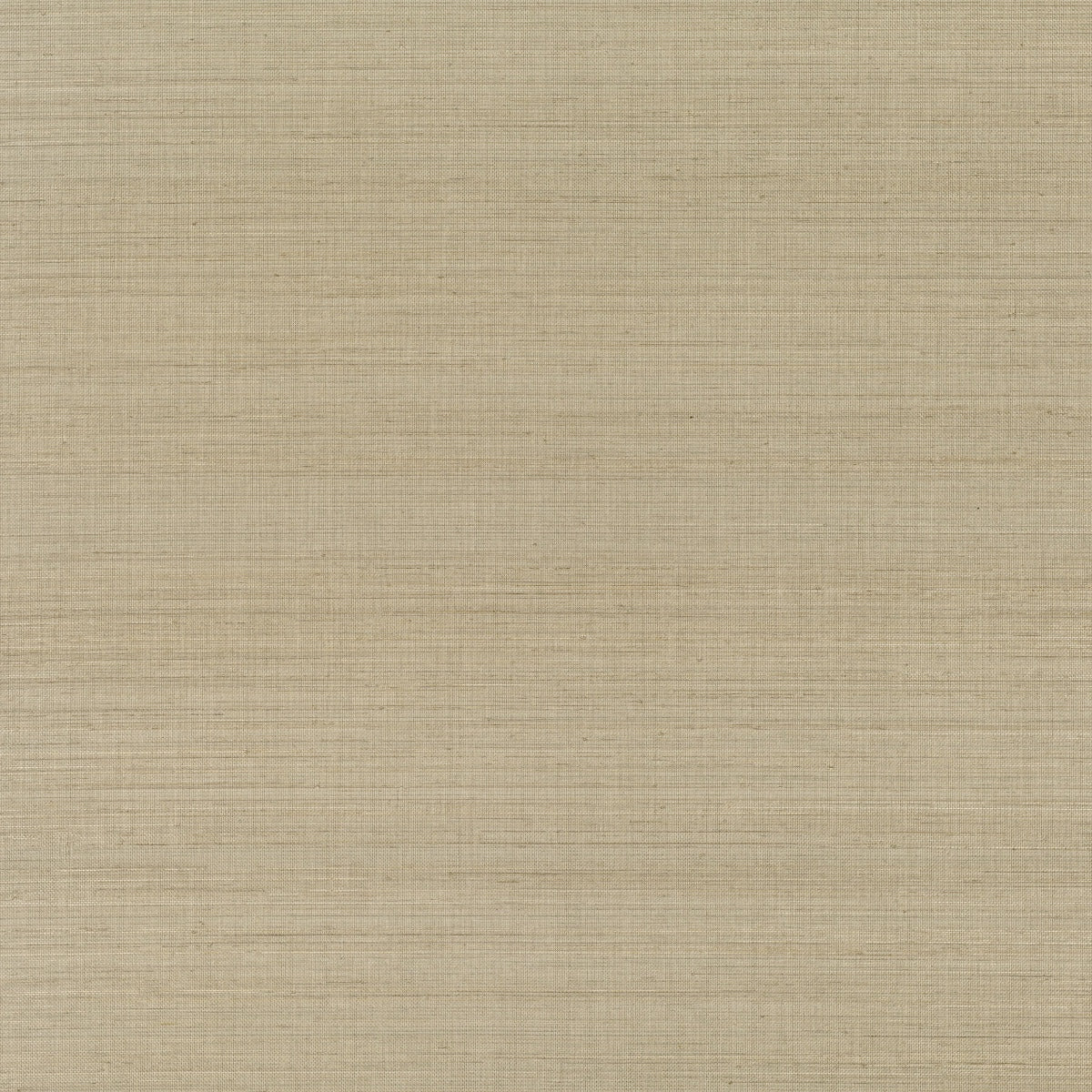 Mark Alexander | Abaca
