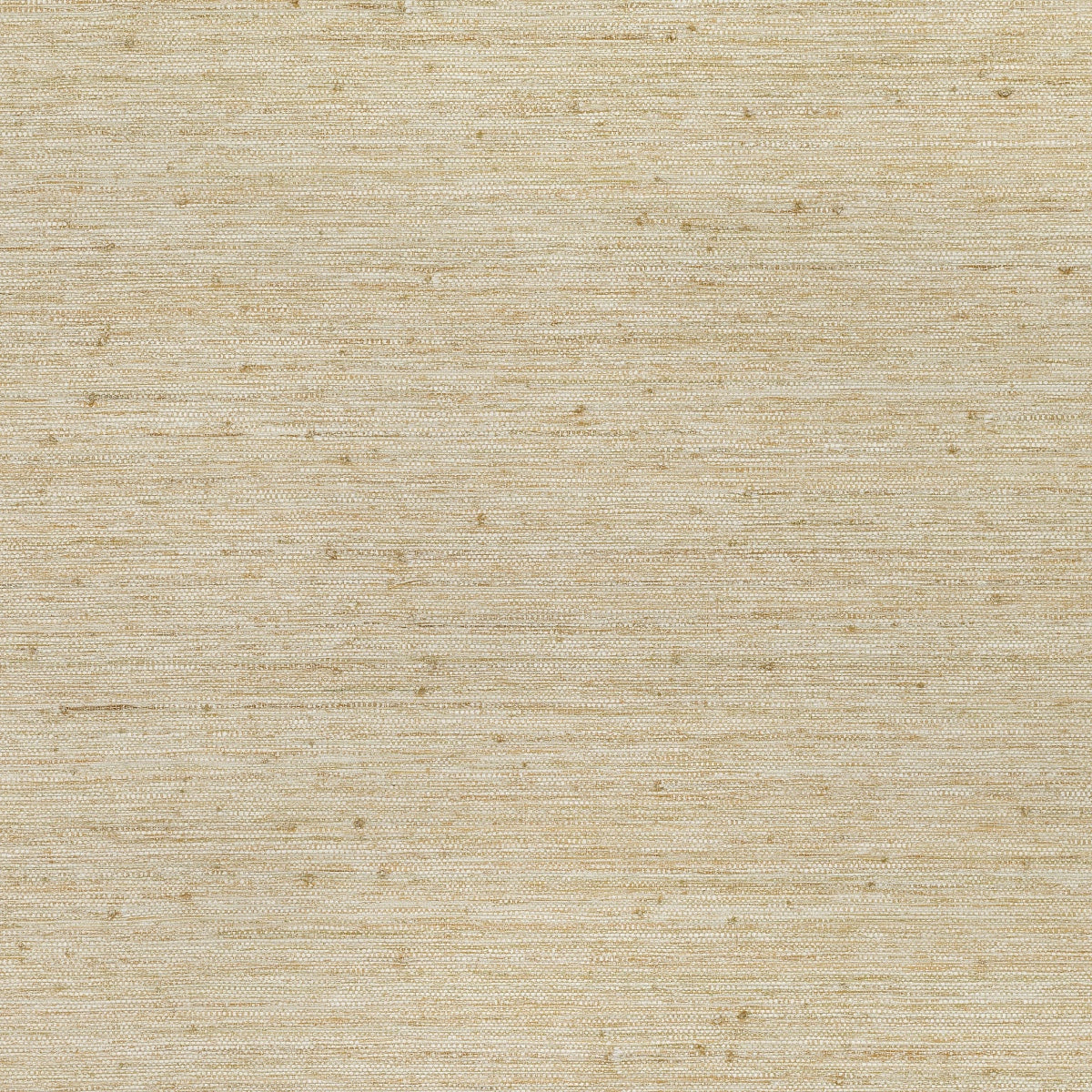 Mark Alexander | Raffia
