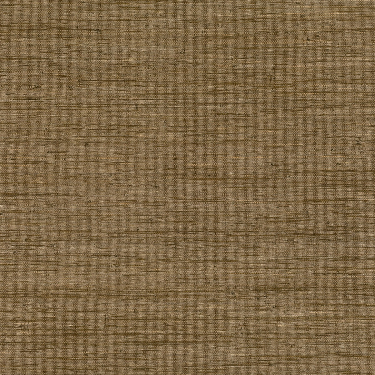 Mark Alexander | Raffia