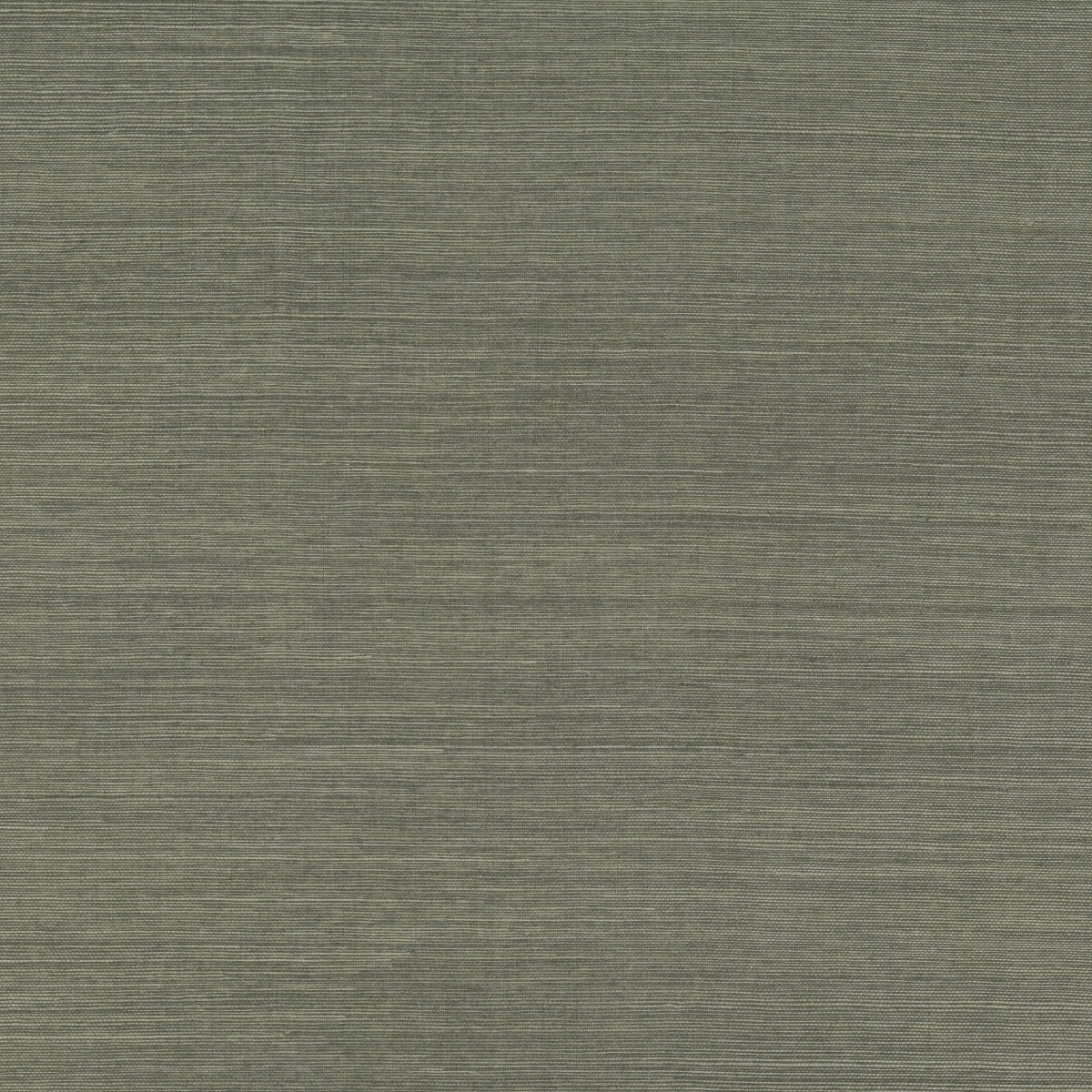 Mark Alexander | Sisal
