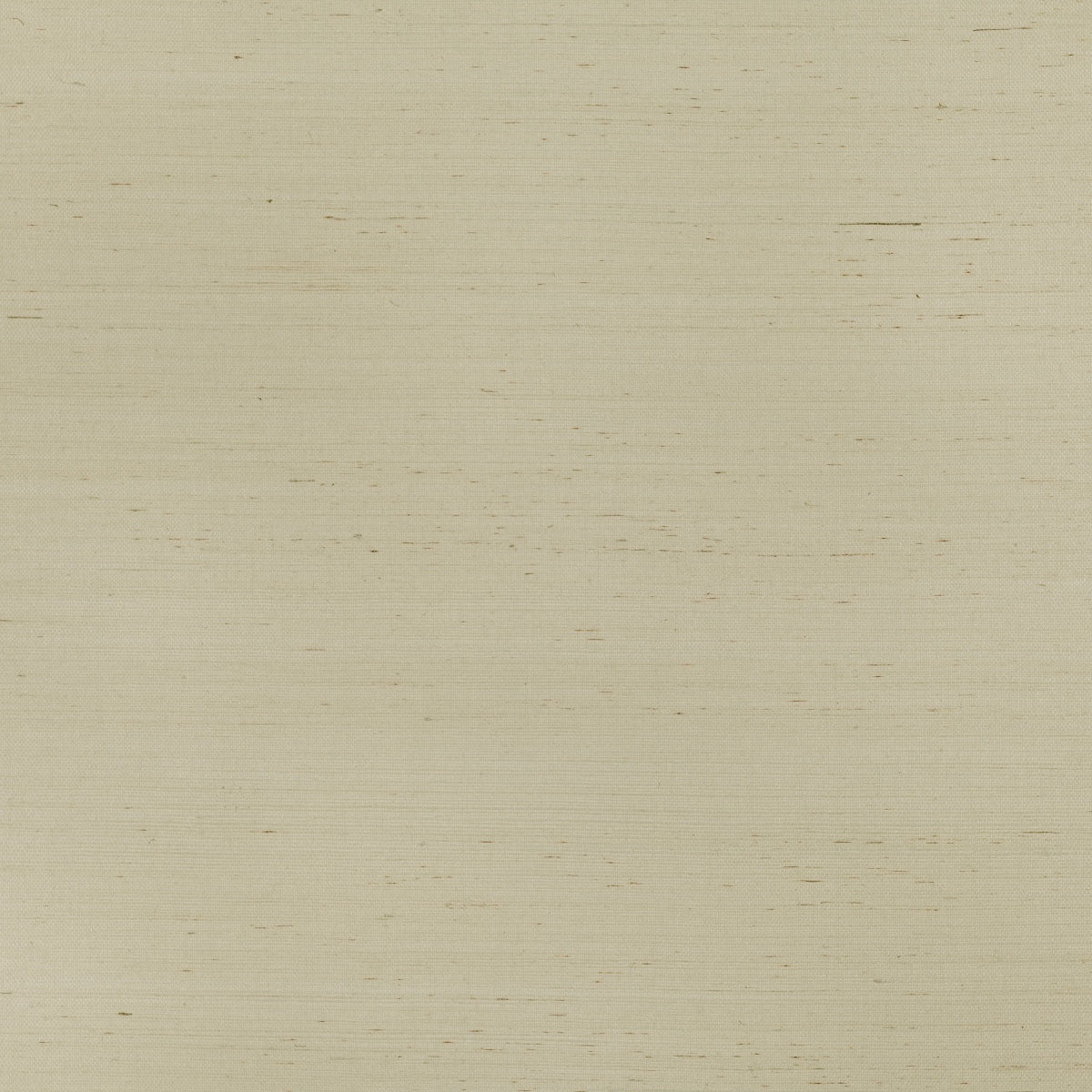 Mark Alexander | Sisal