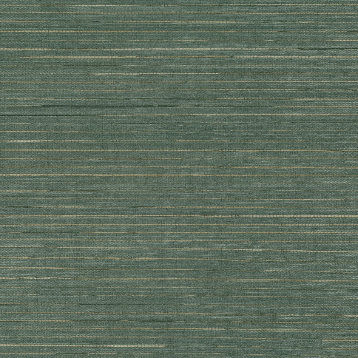 Mark Alexander | Seagrass