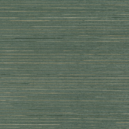 Mark Alexander | Seagrass
