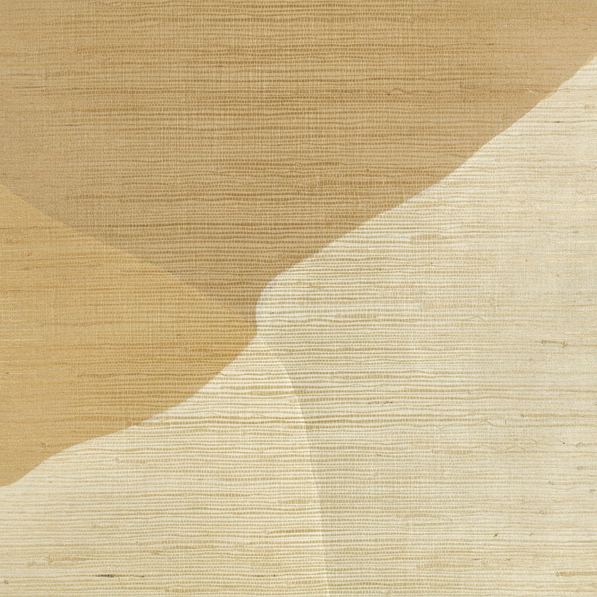 Kirkby Design | Studio