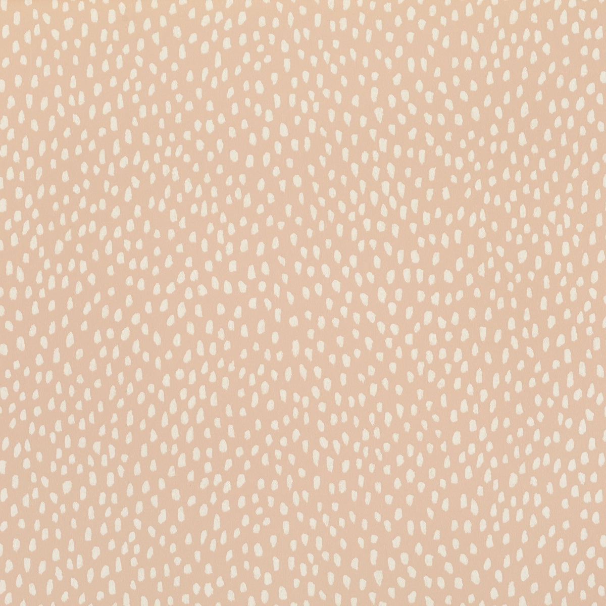 Villa Nova | Speckle