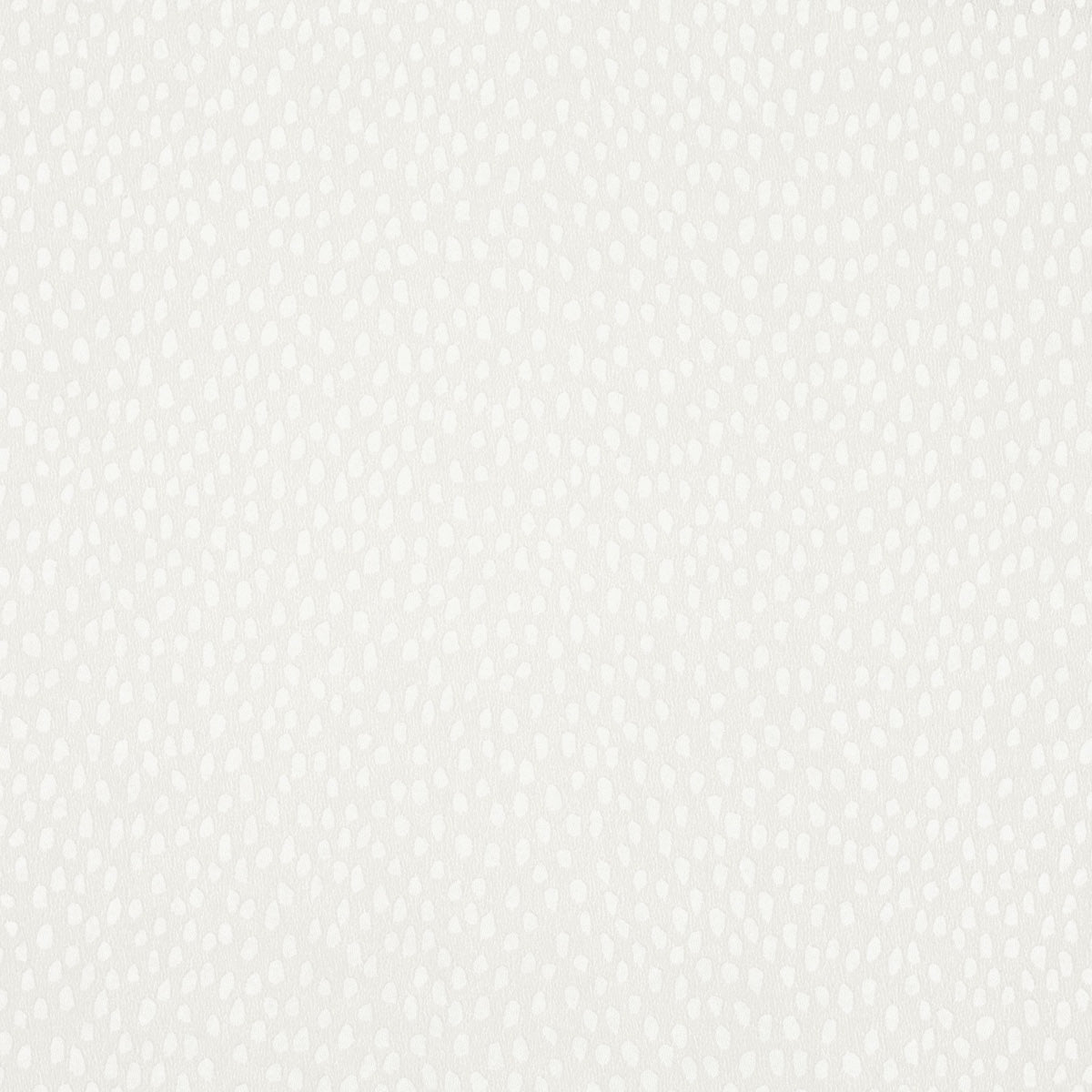 Villa Nova | Speckle