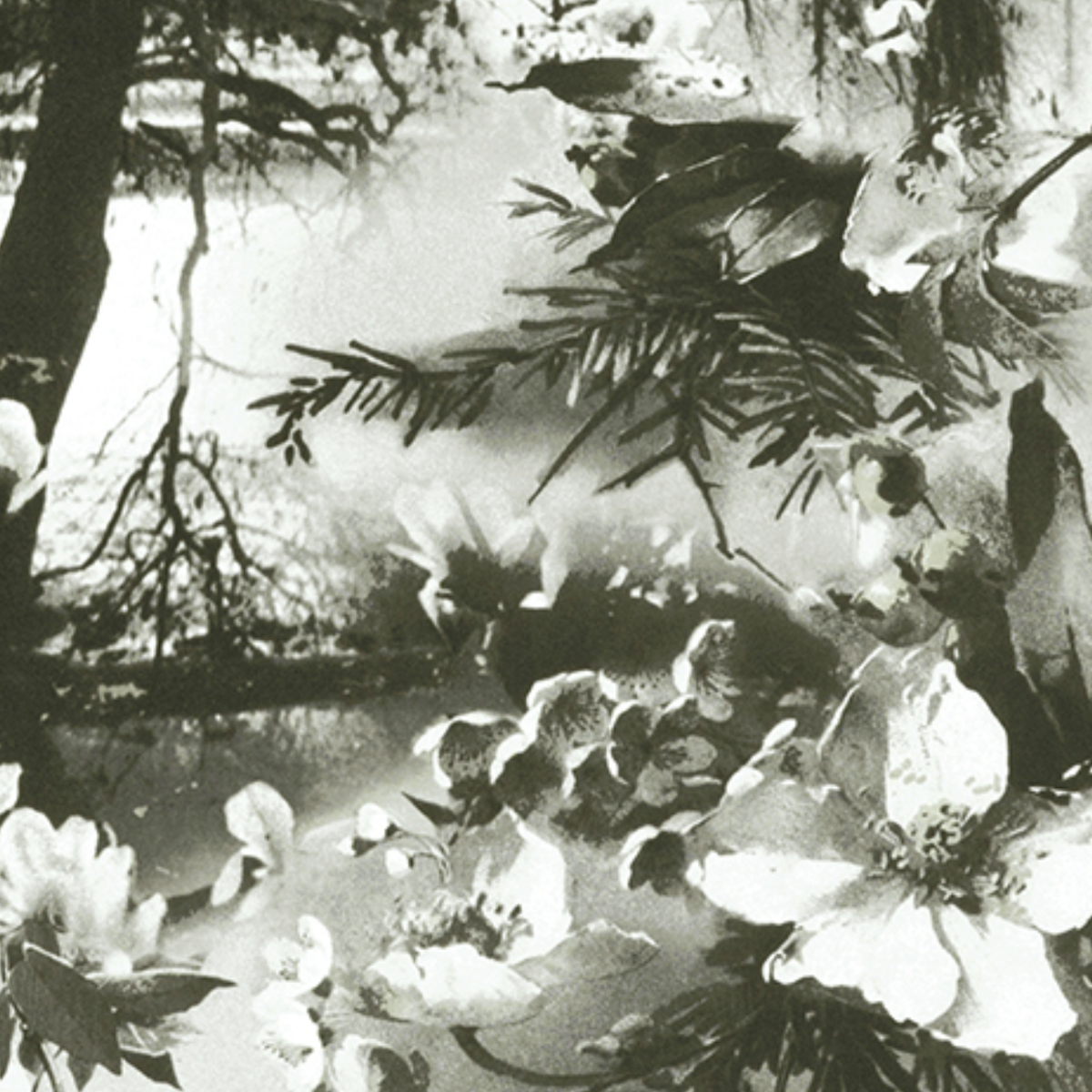 Jean Paul Gaultier | Brume