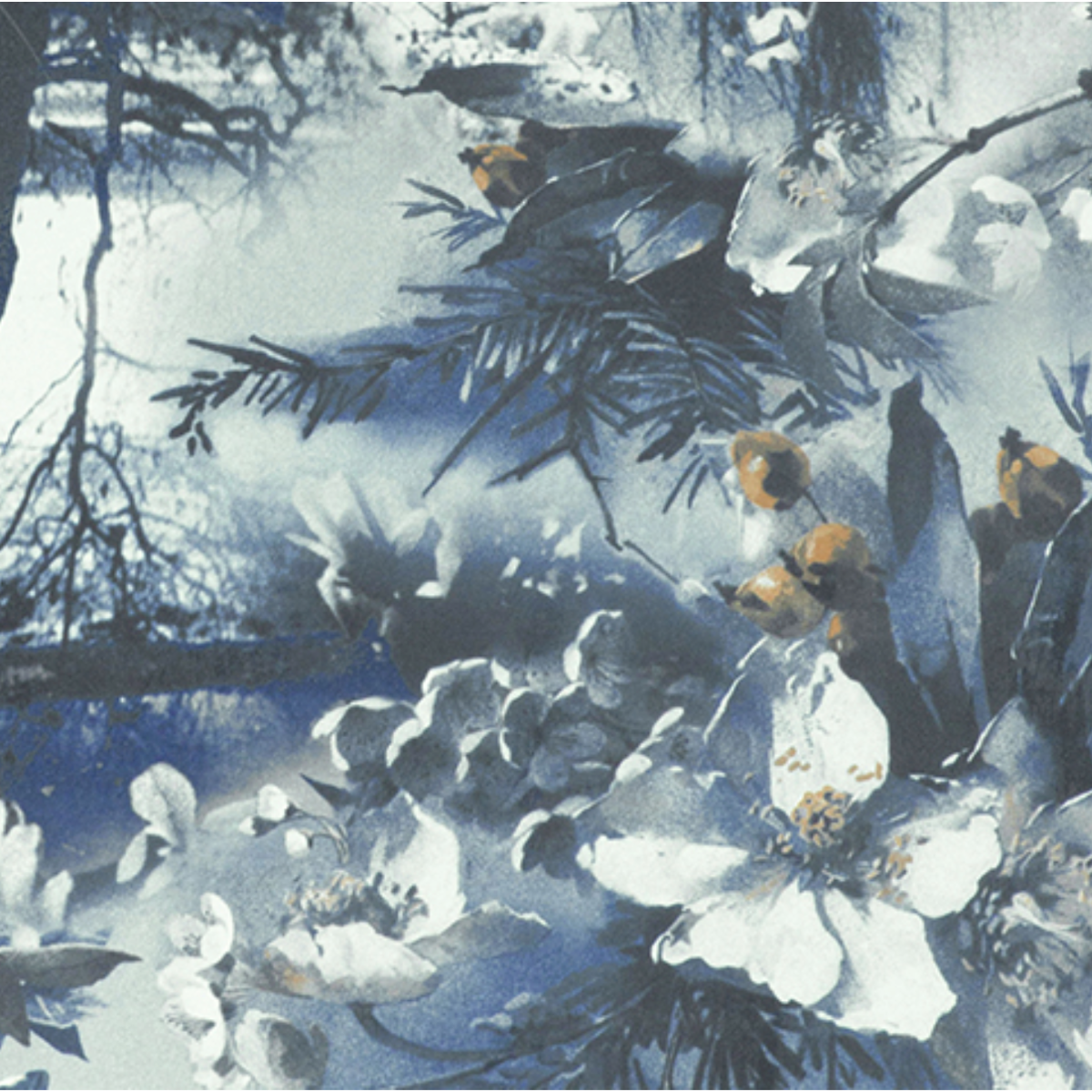 Jean Paul Gaultier | Brume