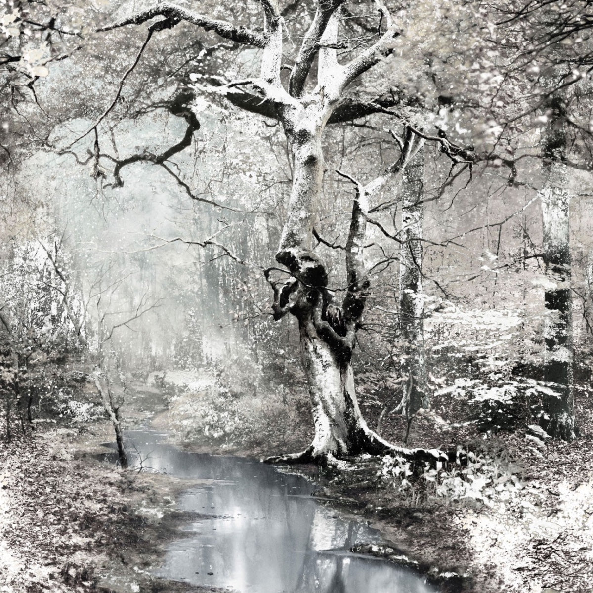 Jean Paul Gaultier | Sous Bois